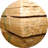 Timber Sales